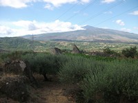 gale-20120725 067